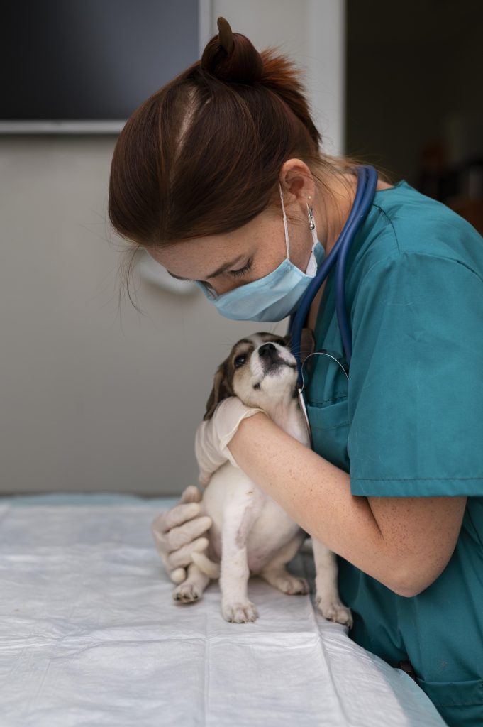 une vétérinaire qui s'occupe d'un chien